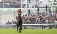 今年のジャパンCは“3世代ダービー馬対決” 過去の事例では後輩馬が優勢？