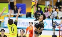 【バレー】STINGS愛知がホームの日鉄堺BZに3-1で勝利し、7勝目。トリー・デファルコが23得点　SV男子