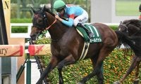 【鳴尾記念想定馬・騎手】オールナット、ドゥラエレーデなど16頭