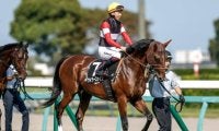 【今日の注目ポイント】京都2歳Sでウイナーズナインが無傷の3連勝を狙う