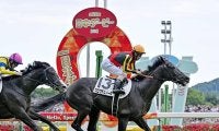 【競馬予想】ジャパンカップに挑むクロワデュノールの巻き返しはあるか？　評価急落のなぜ