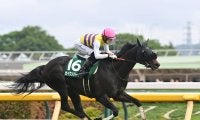 【競馬予想】ジャパンカップはマスカレードボールが有力も、超人気薄の６歳馬の大駆けに要注意