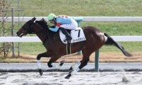 【新馬/京都6R】エンブロイダリー半弟 バートラガッツが断然の支持に応える
