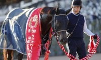 【京都2歳S】北村友「イメージしていた競馬とは少し違った」ジャスティンビスタがデビュー2連勝