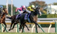 今年のジャパンCでは馬名の“末尾”をチェック 天皇賞(秋)を3歳馬が制した年には共通点あり