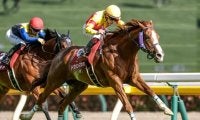 芝短距離重賞5勝のトウシンマカオが登録抹消 アロースタッドで種牡馬入りの予定