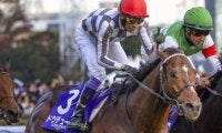 ジャパンCは上位人気安定 近況好調の馬を素直に信頼
