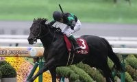 【競馬予想】上位混戦のジャパンカップ　人気馬の間隙を突く可能性がある穴馬候補は２頭いる
