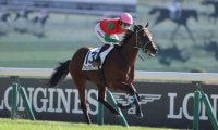 【東京4R】ファムクラジューズが３馬身半差完勝…断然人気アイムインは2着