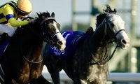 【ジャパンカップ】アドマイヤテラはスタートで落馬、2、3着馬はゴール入線後放馬と波乱…欧州年度代表馬カランダガンがV