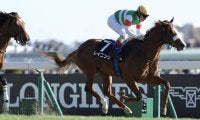 【オリエンタル賞】ルメール騎乗 良血レイニングが連勝