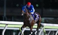 秋のダート王決定戦チャンピオンズCなど3重賞/今週の競馬界の見どころ