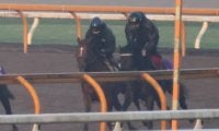 ドヴィーグランが日曜阪神で初陣 友道師「体幹がしっかりしている」/関西馬メイクデビュー情報