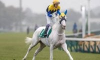 【阪神JF出走馬決定順】フルゲート18頭に26頭が登録 収得賞金400万円の馬で「15分の7」抽選