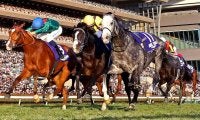 【注目馬動向】ＪＣでカラ馬「先頭ゴール」のアドマイヤテラは有馬記念目標　友道調教師「ファン投票をお願いします」