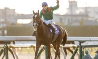 レコードでジャパンC制したカランダガン 高速馬場に対応できた理由は血統にあり
