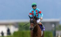 香港国際競走4レースで馬券発売…日本勢エンブロイダリーら8頭が出走予定