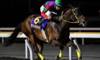【チャンピオンズC】国分優作騎手が3年ぶりのJRA・GI参戦 テンカジョウで波乱呼ぶか