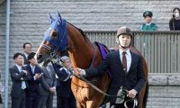 ２３年の皐月賞馬ソールオリエンスが引退、種牡馬入り　社台サラブレッドクラブ発表