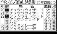 【チャンピオンズＣ・超ブル診断】前走地方組の３歳馬が信頼の軸　穴馬候補は近年好走のあの血統