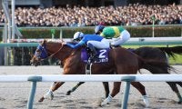 【チャンピオンズＣ・記録メモ１】Ｇ１級勝ち馬は２０１４年以降１０勝と盤石！？　３歳馬はやや苦戦のデータも