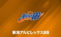 新潟アルビレックスBB、U15所属「志高く有為な若武者」2名をユース育成特別枠で選手登録