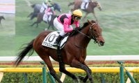 【注目馬動向】東京デビュー戦で５馬身差Ｖのラヴェニューは戸崎圭太騎手とのコンビでホープフルＳへ