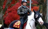 【注目馬動向】白毛のマルガは予定通り、武豊騎手と自己条件のつわぶき賞へ　登録した阪神ＪＦには向かわず