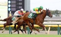 【注目馬動向】サウジアラビアＲＣ覇者のエコロアルバは松山弘平騎手との新コンビで朝日杯ＦＳへ