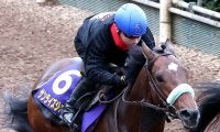 【チャンピオンズＣ】これまで勝ち馬はなし　１３番枠にもサンライズジパング陣営は前向き「外枠の方がレースはしやすい」