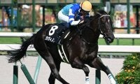 【鳴尾記念出走馬・騎手確定】グランヴィノス＆川田将雅騎手、オールナット＆北村友一騎手など14頭