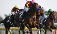 【ステイヤーズS出走馬・騎手確定】クロミナンス＆C.ルメール騎手、ホーエリート＆戸崎圭太騎手など14頭