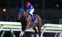 【チャンピオンズC・調教後馬体重】ナルカミは517kg、ダブルハートボンドは482kg