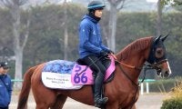 【ＰＯＧ】父は凱旋門賞馬　エラルディークは中山ダートでデビュー　宮田敬介調教師「気性は素直」