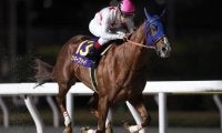 【芝とダートの総決算】有馬記念＆東京大賞典の注目馬を血統から探る！
