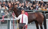 【注目馬動向】京阪杯で重賞初制覇のエーティーマクフィはシルクロードＳ、同９着のモズメイメイは阪神Ｃへ