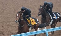 【ステイヤーズＳ】３９年ぶりの牝馬Ｖを狙うホーエリートは３枠３番　ヴェルミセルは７枠１１番　枠番確定