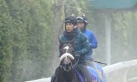 【チャンピオンズＣ】芝９ハロンのＧ２・３勝馬シックスペンスが砂でＧ１取りへ　国枝調教師「いい感じで気合が乗っている」