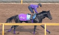 【鳴尾記念】兄姉にＧ１ホース３頭の良血馬グランヴィノスが初タイトルへ　友道調教師「ワンターンの方がいい」