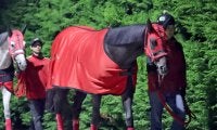 【注目馬動向】福島記念２着のエコロヴァルツは中山記念での復帰を視野　ハッピーマンはギャラクシーＳで連勝狙う