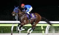 【チャンピオンズカップ】4連勝中ナルカミは6枠12番へ