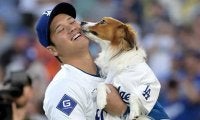 大谷翔平＆デコピンを筆頭に…山本、スネルらも愛犬紹介　MLB公式が“異例”の投稿