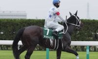 【競馬予想】「荒れる」チャンピオンズカップ　舞台合う実力馬２頭でビッグボーナスをゲットせよ
