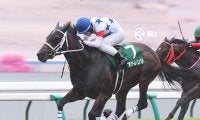 【競馬予想】混戦模様のチャンピオンズＣで注目すべき、キングマンボとキズナの血　クロスも含めて徹底チェック
