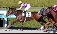 【阪神６Ｒ・２歳新馬】外国産のヤウポン産駒エルルが逃げ切りＶ　菱田裕二騎手「いい勝ち方だったと思います」
