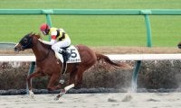 【中山６Ｒ・２歳新馬】横山和生騎手が２Ｒから騎乗機会４連勝！　トワイライトサイトで１番人気に応える