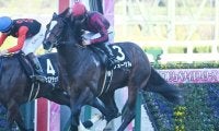【さざんか賞結果】フォーゲルが人気に応えて2連勝