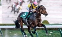【チャンピオンズC予想】前走で積極的な競馬を経験しているのはマイナス!? 重賞馬でも軽視したい一頭とは