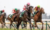 22年の共同通信杯を制したダノンベルーガが登録抹消 東京競馬場で乗馬に