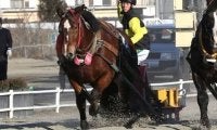 【ばんえい十勝】新人騎手が初騎乗…阿部優哉騎手、臼杵龍美騎手、吉田理人騎手コメント